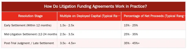How Do Litigation Funding Agreements Work in Practice? — Comparing Litigation Funding Models for Asset Recovery
